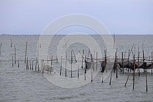 Raising fish in floating islands around Koh Yo Songkhla Lake Fisherman`s House at sunset at Songkhla Lake, Yo Island