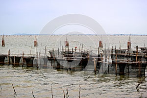Raising sea bass in cages at Kho Yo, Songkhla Province