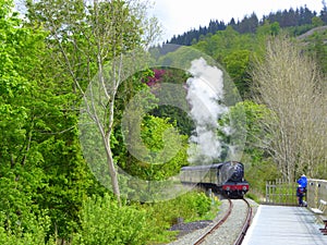 Steam train approaching station platform photo