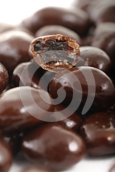 Raisins in Chocolate Cover