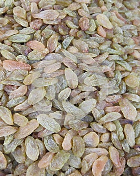Raisins  fresh  neture  dried  seedless  grapes  vector  background . photo