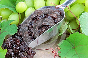 Raisins and Grapes photo