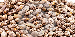 Rajado beans, brazilian beans, seed pile on isolated, macro photography photo
