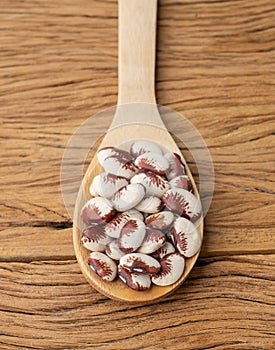 Rajado red beans in a spoon over wooden table photo