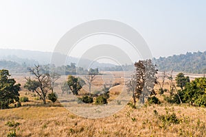 Rajaji national Park, near the town of Haridwar.