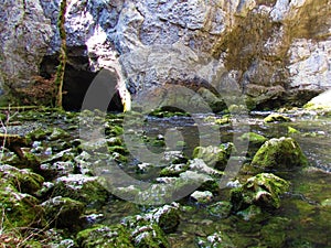 Rak creek in Rakov Skocjan flowing out of a cave
