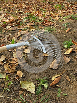 Rake
