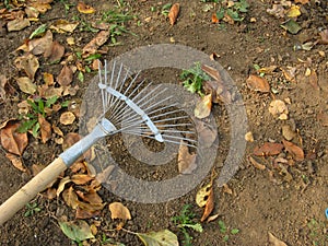 Rake photo