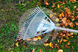 rake on the grass with foliage