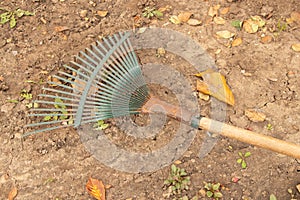 rake on the ground in autumn for harvesting autumn leaves, gardener's tools, yard