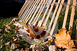 Rake and Leaves