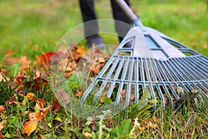 rake and leaves