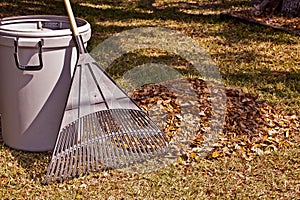 Rake and leaves