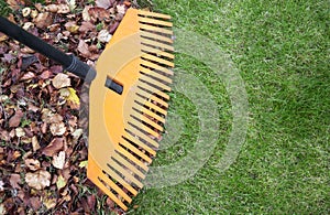 Rake and leaves