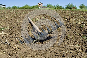 Rake lying on the plowed plot