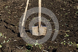 rake and shovel in a plowed field and dug earth in the garden