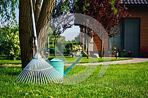 Rake and watering can near tree on green lawn