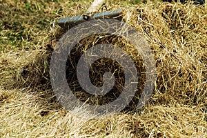 Rakes hay field landscape