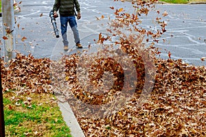 Raking fall leaves with rake autumn leaves on pavement and broom