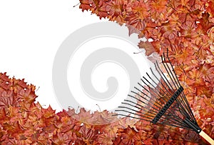 Raking leaves photo