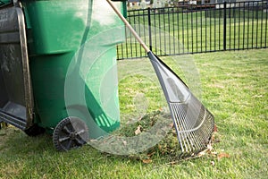 Raking up grass cuttings in spring