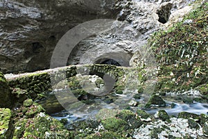 Rakov ÃÂ kocjan