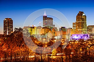 Raleigh Skyline photo