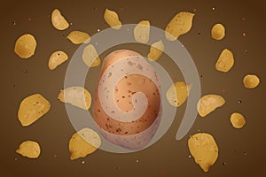 Ralistic potato chips.