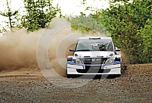 Rally Car in action