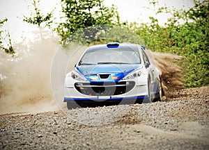 Rally Car in action