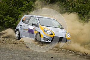 Rally Car in action