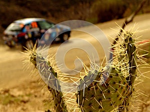 Rally car in desert