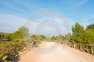 Rallye dirt path in the wilderness of nature