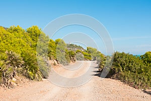 Rallye path in the wilderness near the mediterranean coas