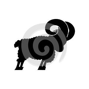 Ram farm animal isolated. Horned Sheep beast