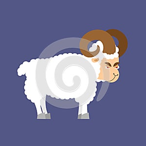 Ram farm animal isolated. Horned Sheep beast