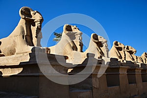 Ram-headed sphinx at Karnak Temple, Egypt