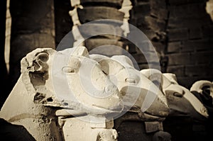 Ram headed Sphinx sculptures, Karnak, Egypt., Karn