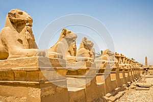 Ram-headed sphinxes line the road outside the temple in Karnak, Egypt