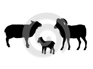 Ram sheep lamb farm mammal black silhouette animal