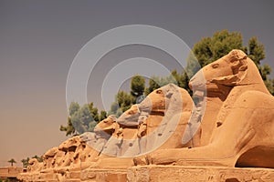 Ram statues of the Karnak temple, Luxor, Egypt.