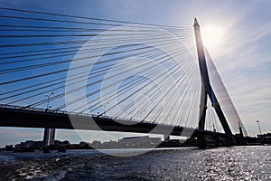 Rama VIII Bridge photo