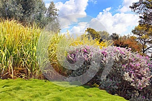 Ramat Hanadiv, where buried Baron Edmond de Rothschild, Israel photo