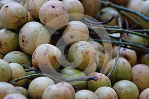 RAMBAI FRUIT