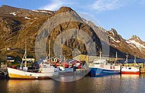 Ramberg village, Lofoten Islands, Norway, Fishing boats in harbor at midnight sun