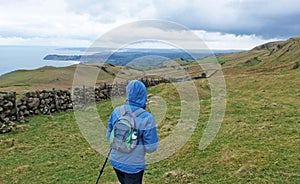 A rambler Walker in a the in Antrim hills mountain in Northern Ireland with Ballygally Head in the background Ireland