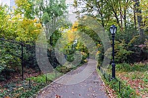 The Rambles Path