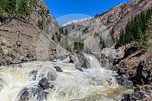 Rambunctious river in Altai mountains