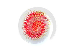 Rambutan