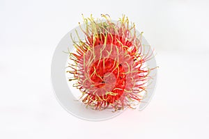 Rambutan